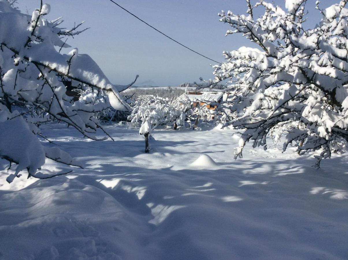Maison Independante De Montagne En Alsace ベルフォス エクステリア 写真