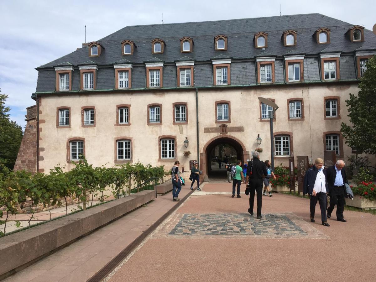 Maison Independante De Montagne En Alsace ベルフォス エクステリア 写真