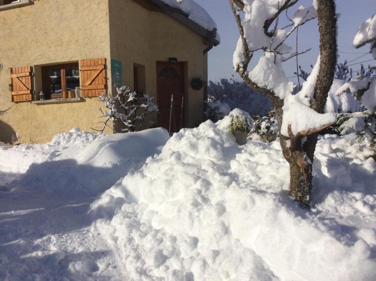 Maison Independante De Montagne En Alsace ベルフォス エクステリア 写真