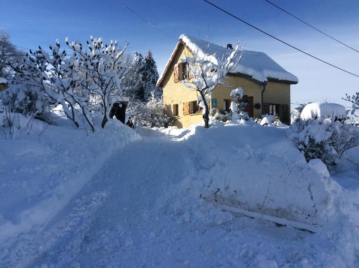 Maison Independante De Montagne En Alsace ベルフォス エクステリア 写真