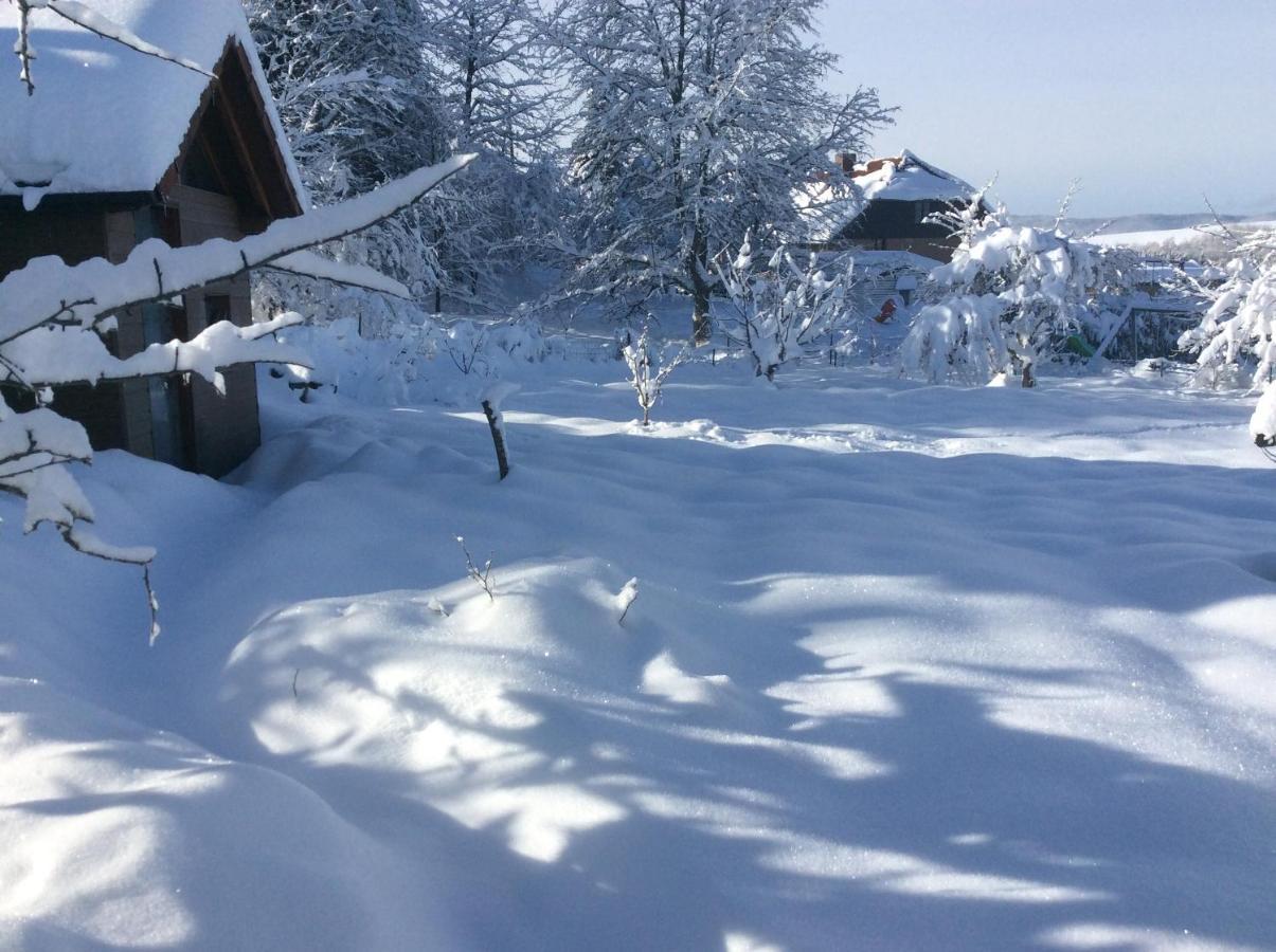 Maison Independante De Montagne En Alsace ベルフォス エクステリア 写真