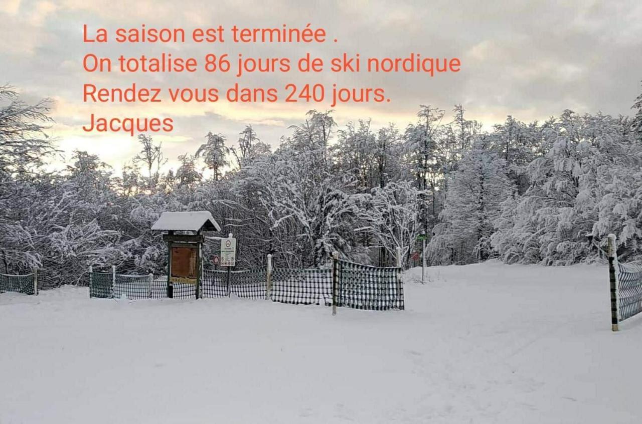Maison Independante De Montagne En Alsace ベルフォス エクステリア 写真