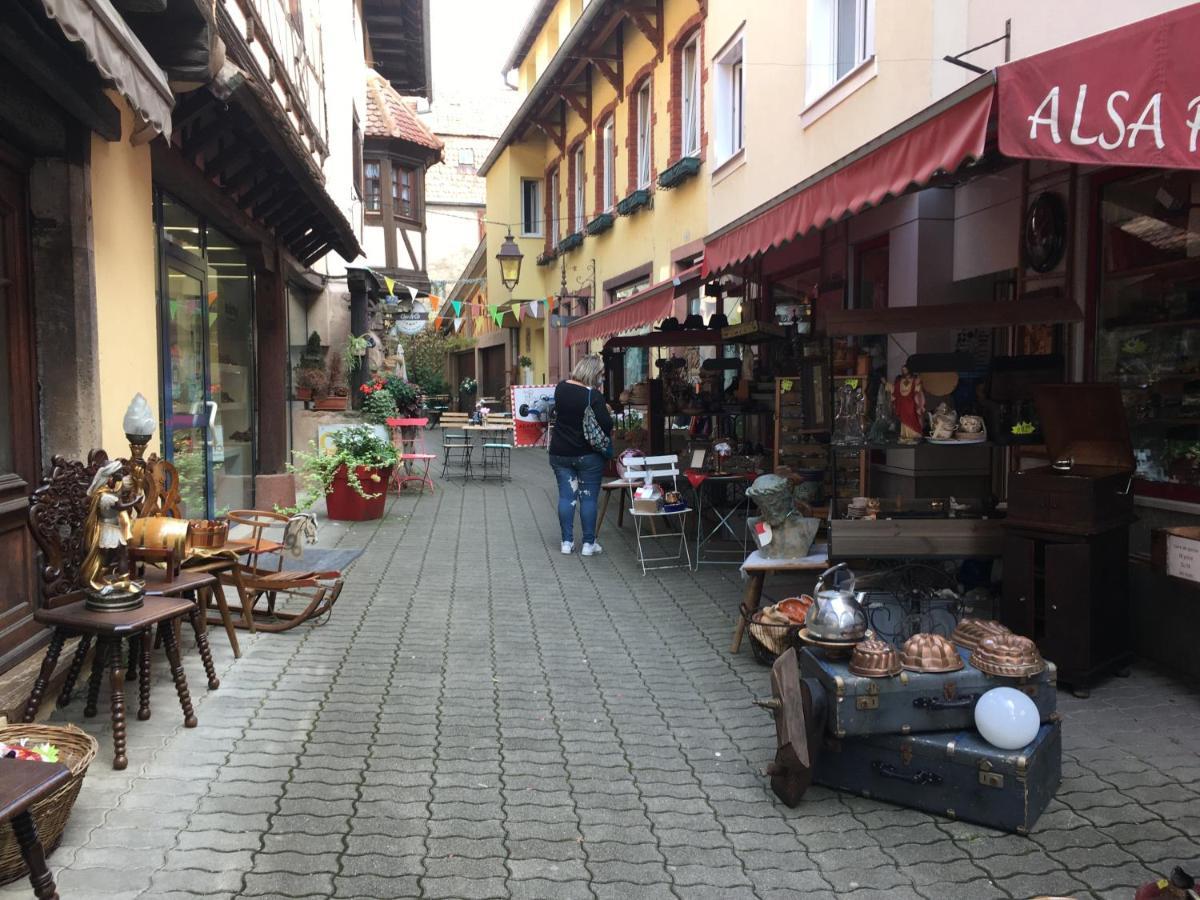 Maison Independante De Montagne En Alsace ベルフォス エクステリア 写真