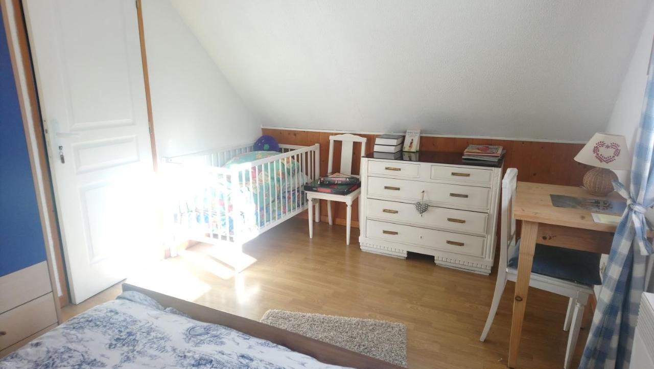 Maison Independante De Montagne En Alsace ベルフォス エクステリア 写真