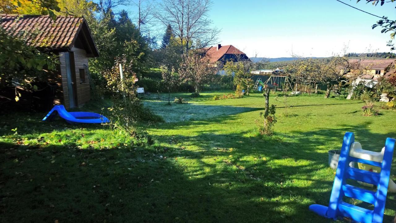 Maison Independante De Montagne En Alsace ベルフォス エクステリア 写真