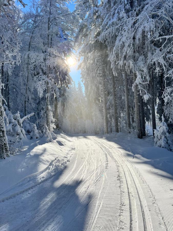 Maison Independante De Montagne En Alsace ベルフォス エクステリア 写真