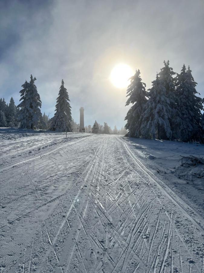 Maison Independante De Montagne En Alsace ベルフォス エクステリア 写真
