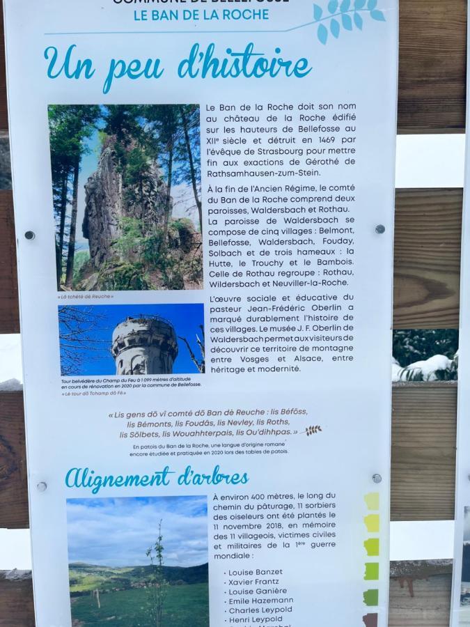 Maison Independante De Montagne En Alsace ベルフォス エクステリア 写真