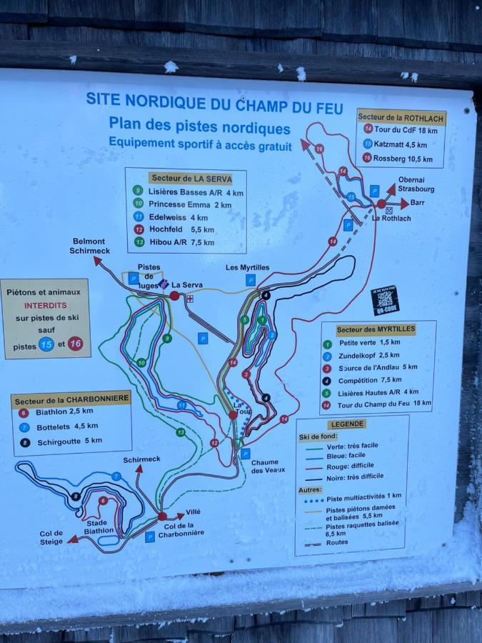 Maison Independante De Montagne En Alsace ベルフォス エクステリア 写真