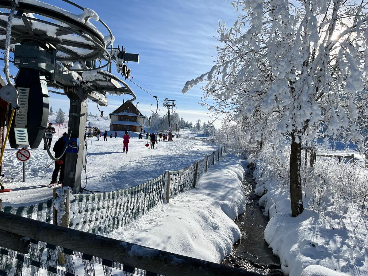 Maison Independante De Montagne En Alsace ベルフォス エクステリア 写真