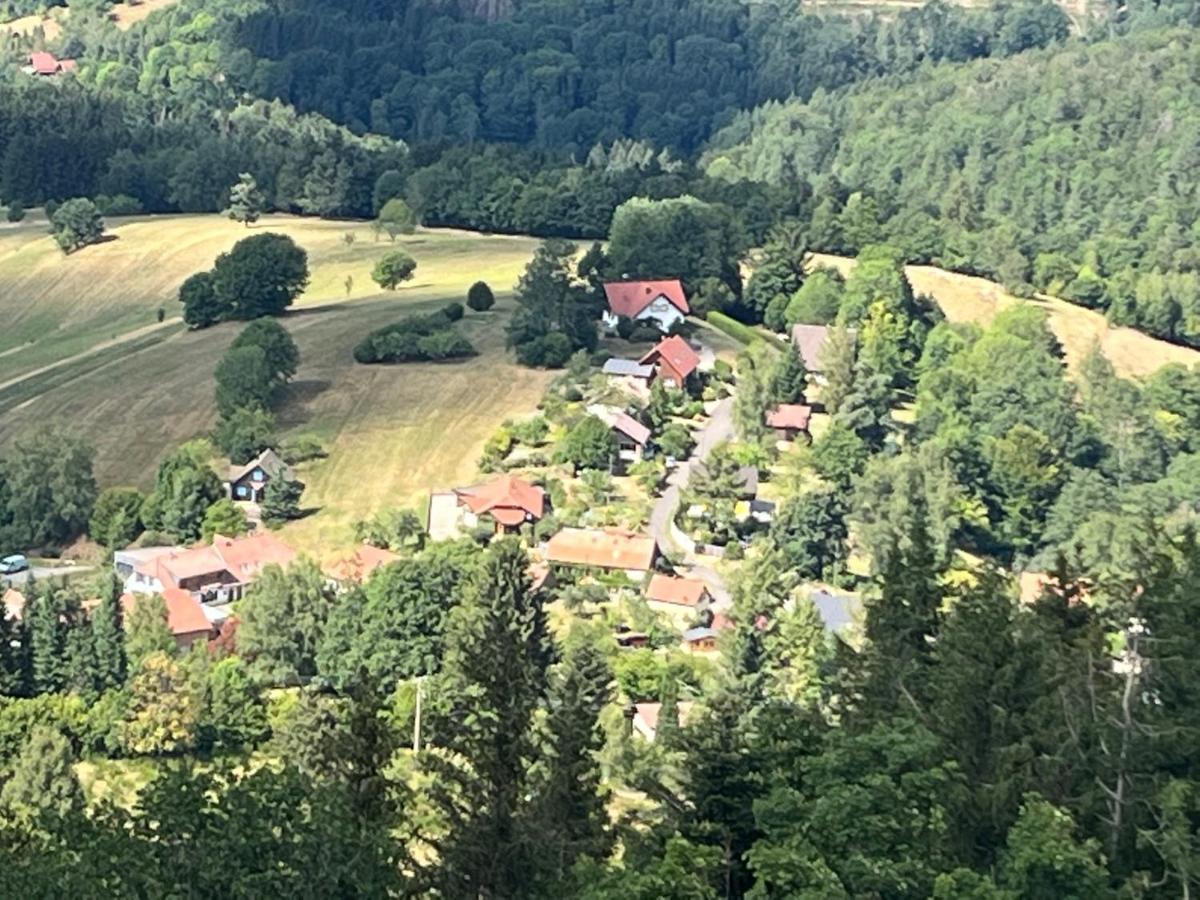 Maison Independante De Montagne En Alsace ベルフォス エクステリア 写真