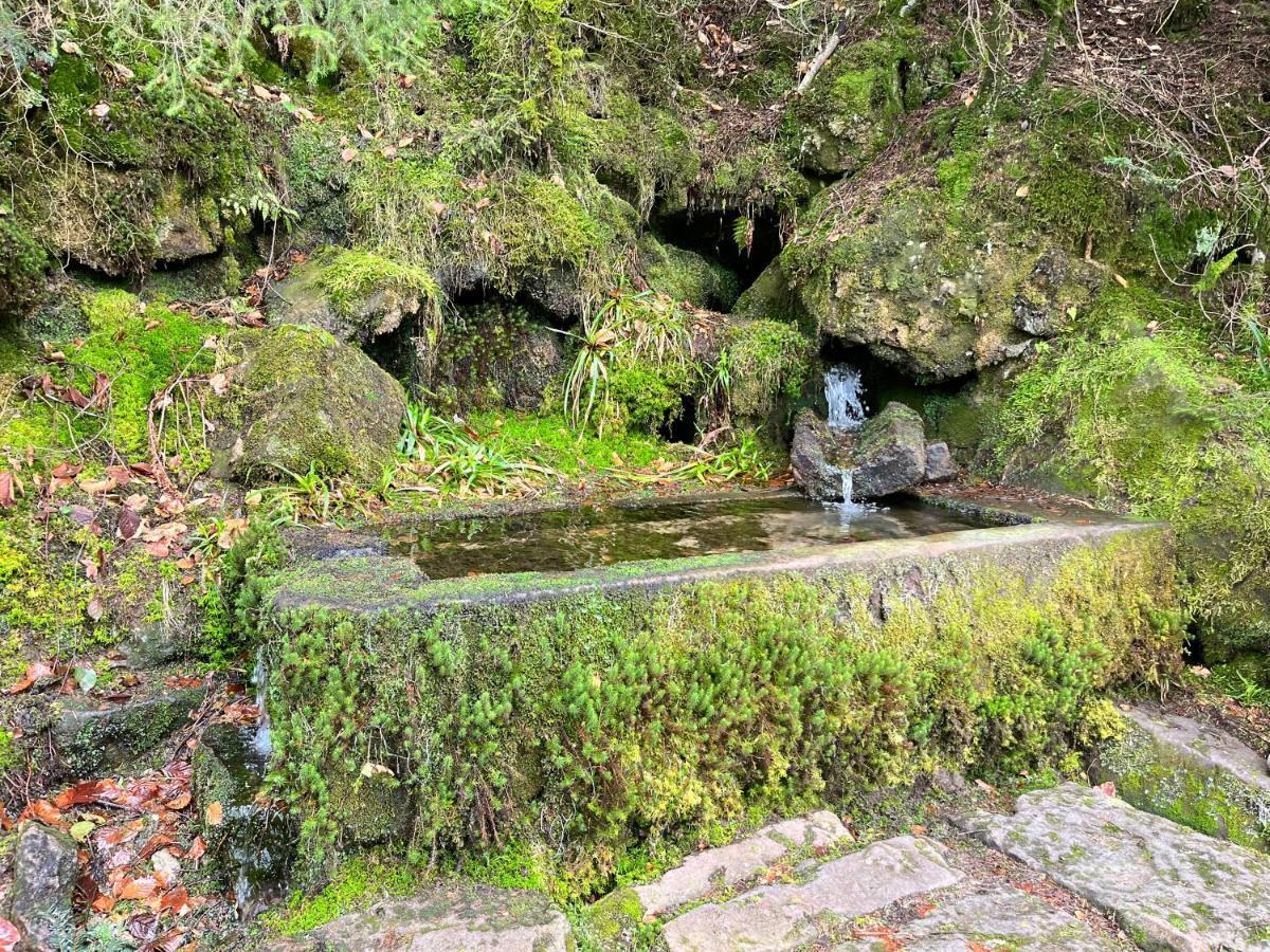 Maison Independante De Montagne En Alsace ベルフォス エクステリア 写真