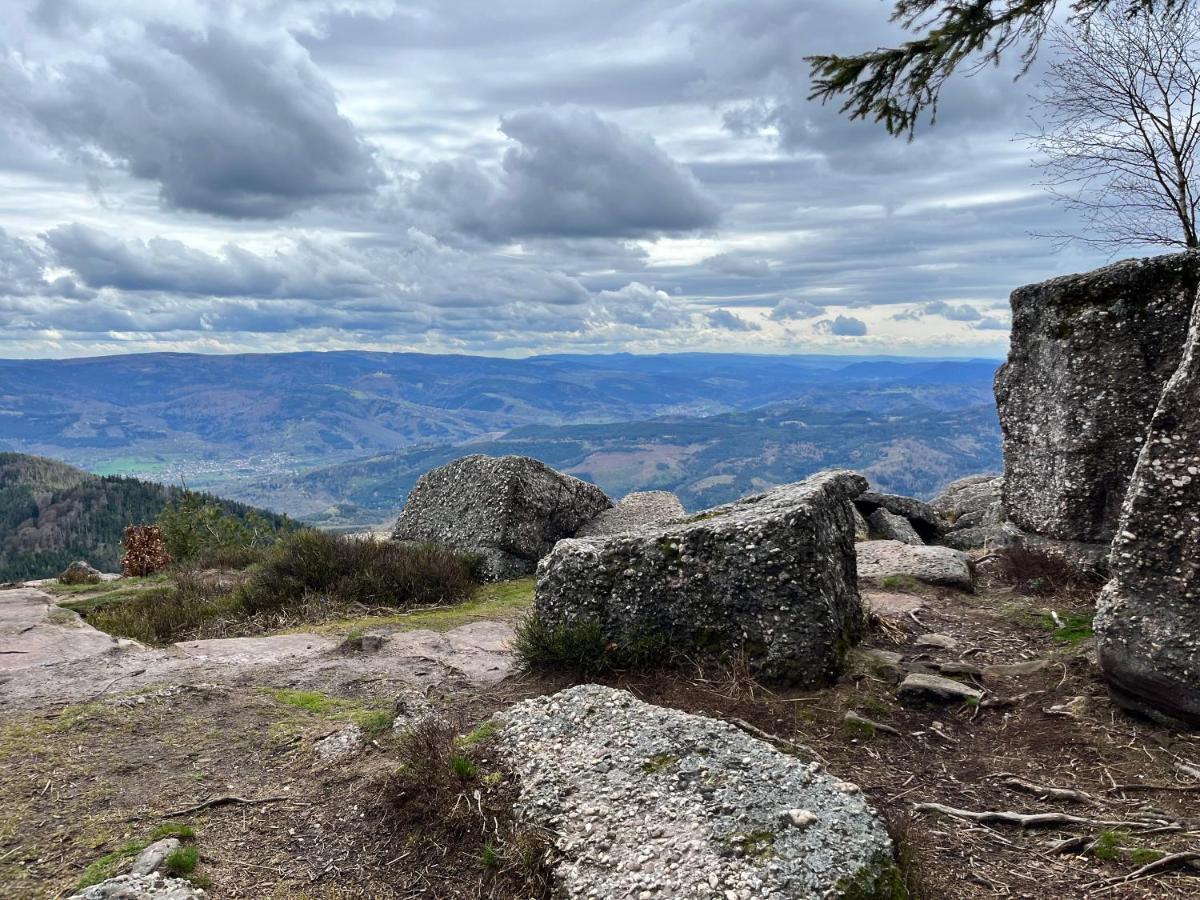 Maison Independante De Montagne En Alsace ベルフォス エクステリア 写真