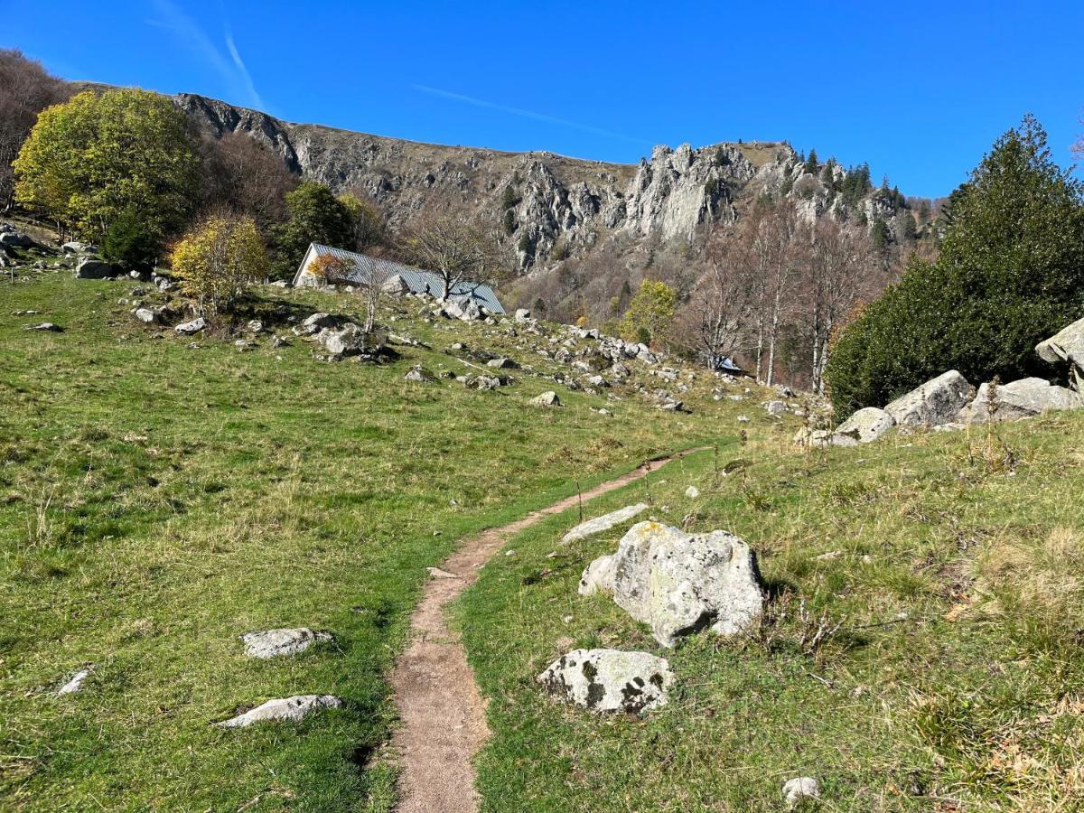 Maison Independante De Montagne En Alsace ベルフォス エクステリア 写真