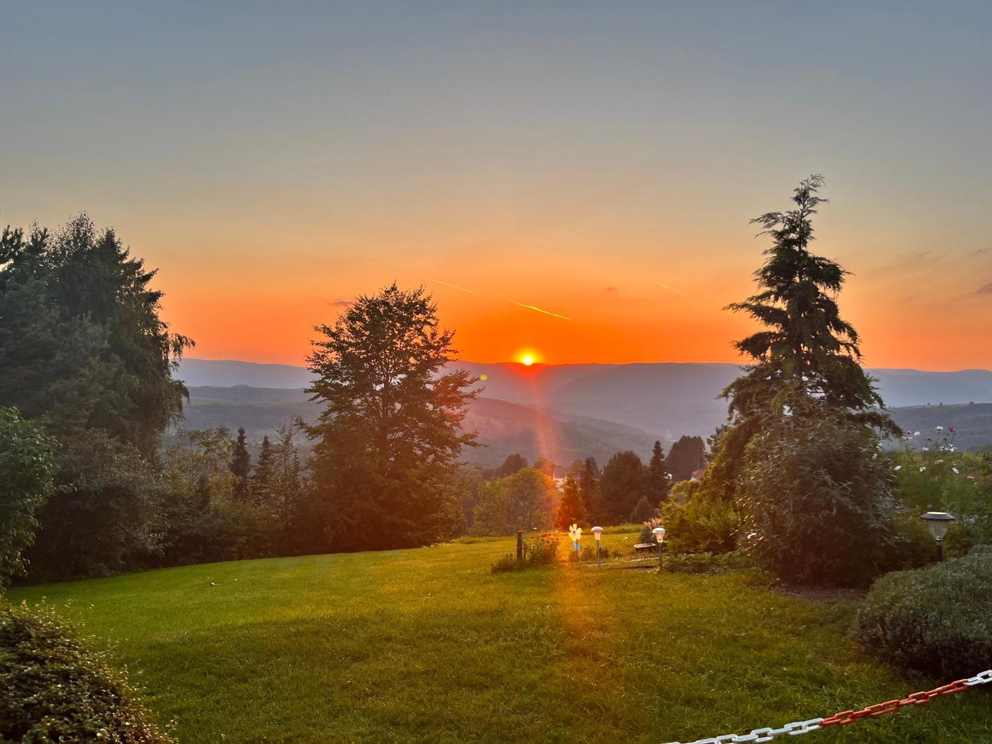 Maison Independante De Montagne En Alsace ベルフォス エクステリア 写真