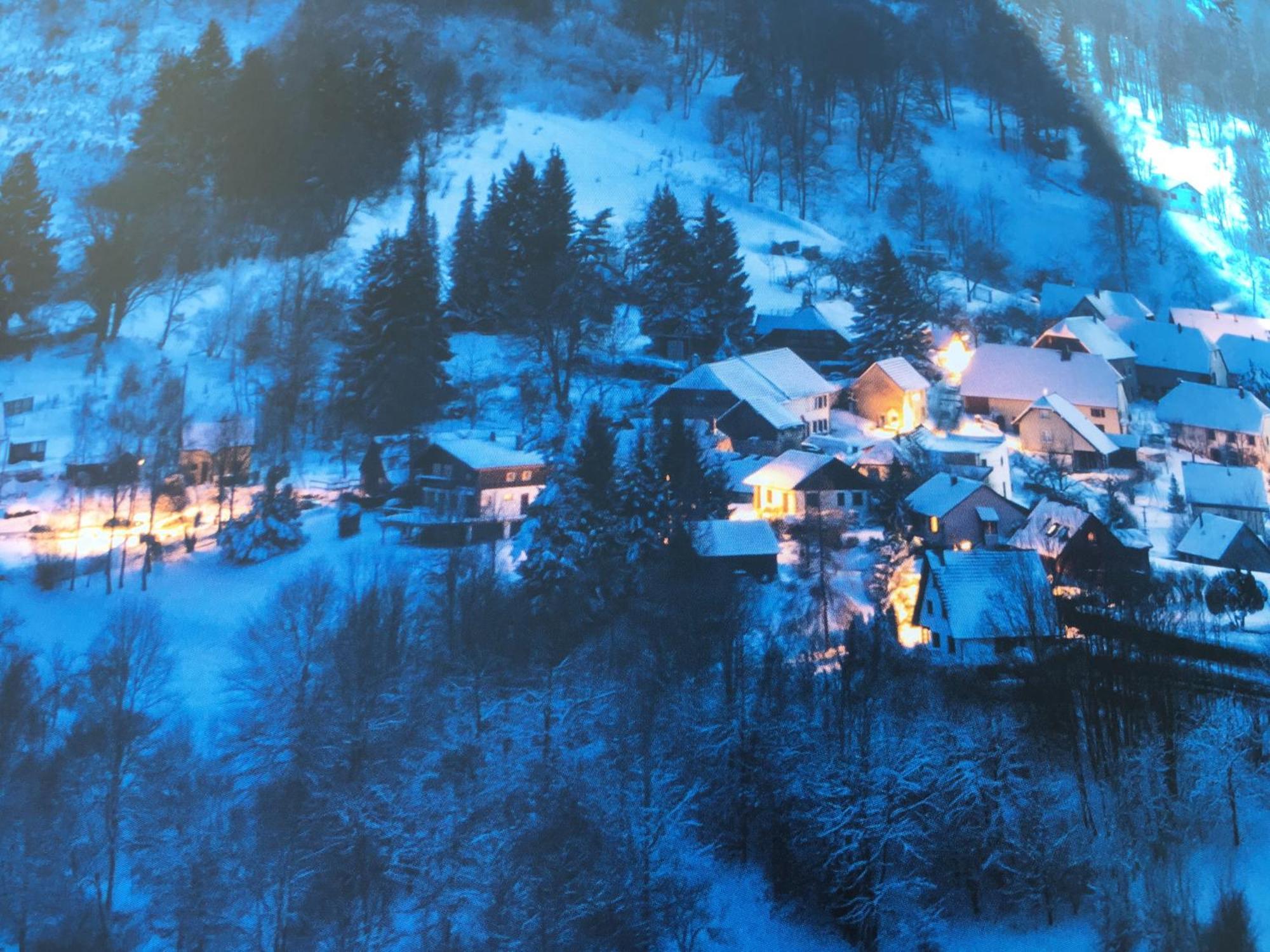 Maison Independante De Montagne En Alsace ベルフォス エクステリア 写真