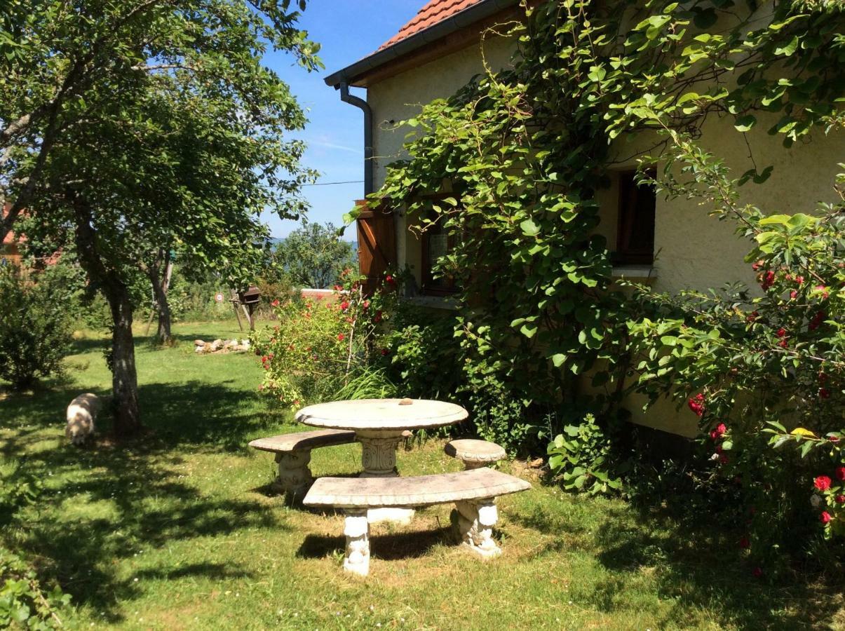 Maison Independante De Montagne En Alsace ベルフォス エクステリア 写真