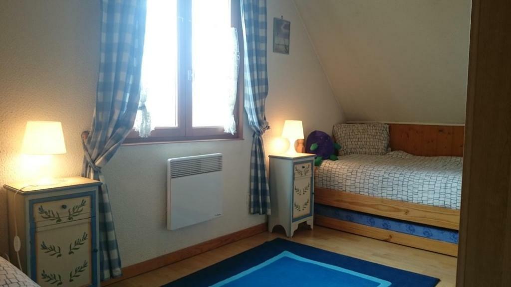 Maison Independante De Montagne En Alsace ベルフォス エクステリア 写真