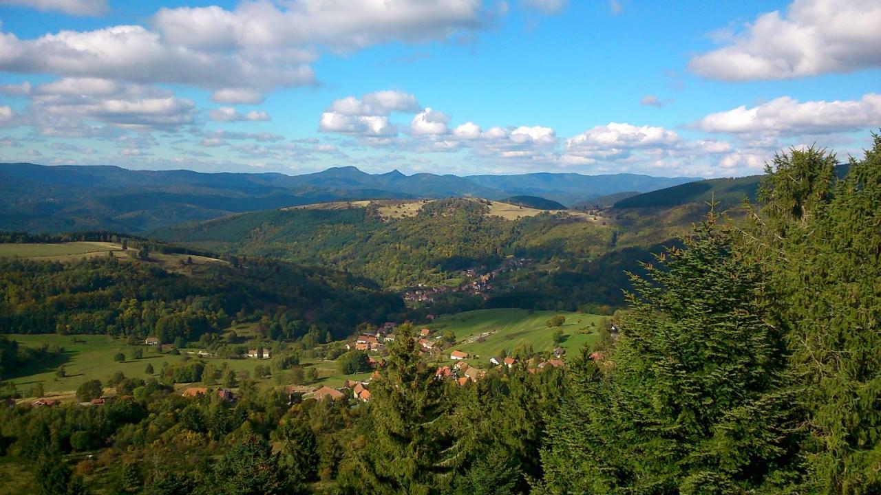 Maison Independante De Montagne En Alsace ベルフォス エクステリア 写真