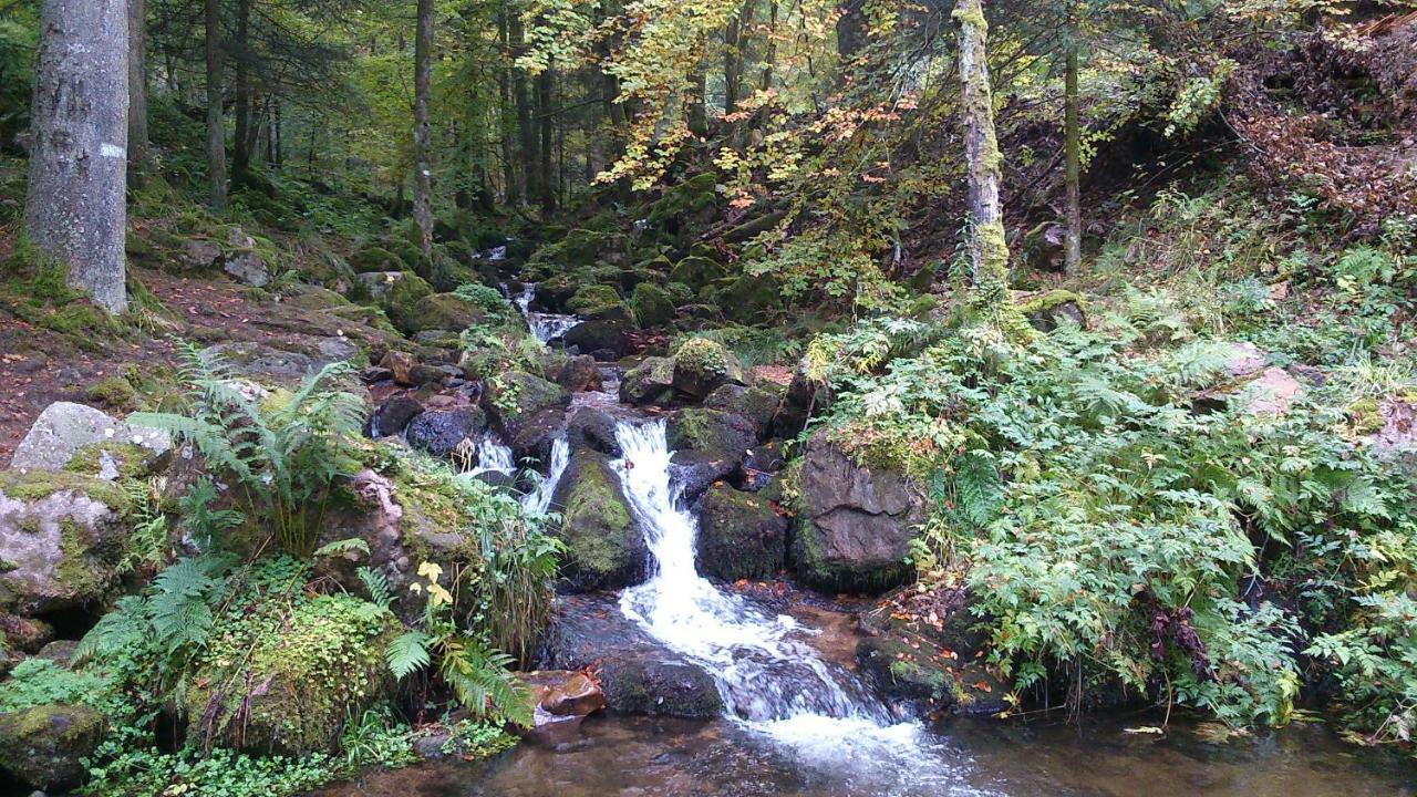 Maison Independante De Montagne En Alsace ベルフォス エクステリア 写真