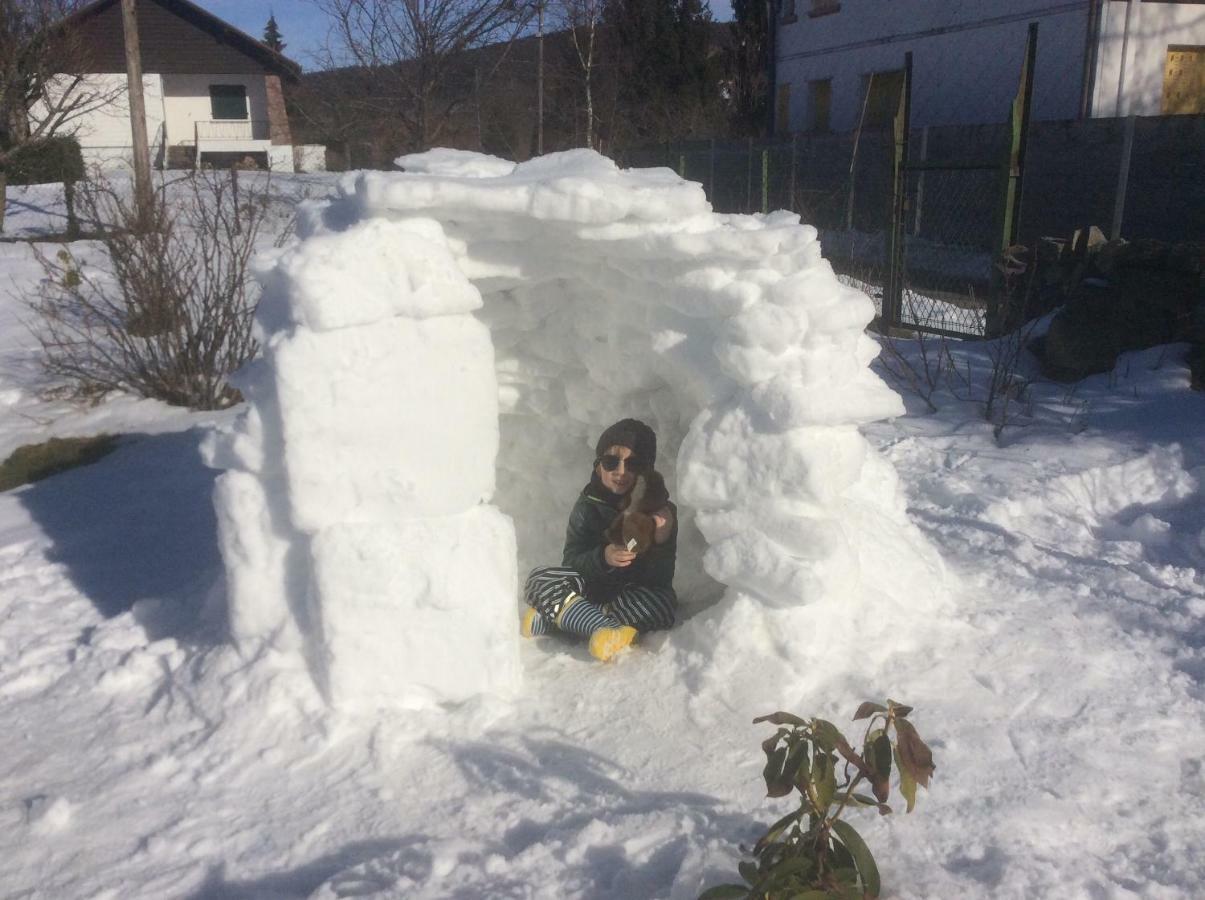 Maison Independante De Montagne En Alsace ベルフォス エクステリア 写真
